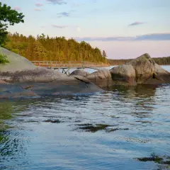 Kamieniste wybrzeże i drewniany pomost w jednym z parków narodowych w Stanach Zjednoczonych. Księżyc w pełni nad lasem.