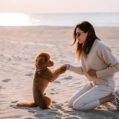 Radosne powitanie nad morzem z psem. Pies podaje łapę swojej pani na piaszczystej plaży.