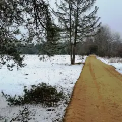 Zimowa trasa rowerowa Czarny Dunajec. Piaszczysta droga wśród ośnieżonych pól i drzew.