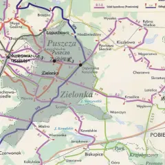 Puszcza Zielonka: malownicze trasy rowerowe wiodą przez lasy i wsie. Odkryj piękno przyrody na rowerze!