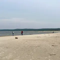 Plaża na Żuławach Wiślanych, gdzie można podziwiać piękno natury i poczuć spokój. Atrakcje przyrodnicze zachwycają.