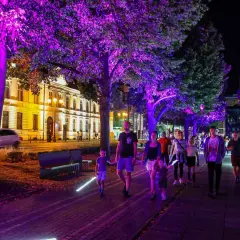 Spacer po Szczecinie nocą, wśród drzew oświetlonych fioletowym blaskiem. Idealne miejsce na wieczorne atrakcje dla dorosłych i rodzin.