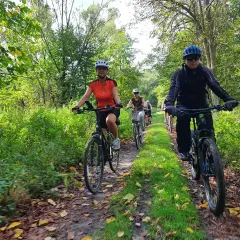 Grupa rowerzystów przemierza malownicze milickie trasy rowerowe wśród zieleni i jesiennych liści.