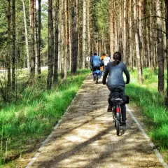 Grupa rowerzystów przemierza leśną ścieżkę, odkrywając malowniczą kaszubską marszrutę.