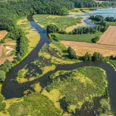 Malownicza wycieczka 50 km od Warszawy: meandrująca rzeka wśród zieleni, pól i jeziora. Idealne miejsce na odpoczynek.