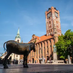 Pomnik osiołka na Rynku Staromiejskim w Toruniu, w tle Ratusz Staromiejski i kościół. Wspaniałe toruń atrakcje!