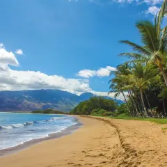 Plaża z palmami i górami w tle, idealne miejsce na relaks w najpiękniejszym stanie USA.