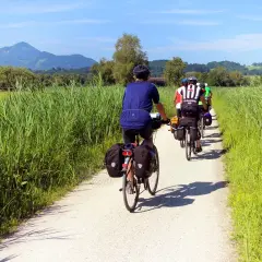 Grupa rowerzystów wyrusza na kilkudniowe wycieczki rowerowe, jadąc szutrową ścieżką wśród wysokich traw, z górami w tle.