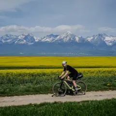Rowerzystka przemierza polną drogę na tle kwitnącego rzepaku i ośnieżonych Tatr. Marzenie o rowerem dookoła Tatr w jeden dzień staje się rzeczywistością.