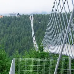 Spacerem po najdłuższym moście wiszącym w Polsce, wśród zielonych lasów.