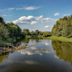 Spokojny nurt rzeki Bug odbija błękitne niebo z białymi chmurami. Bujna zieleń drzew i zwalone konary tworzą malowniczy krajobraz.