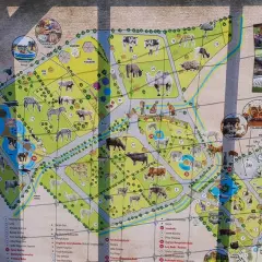 Mapa zoo Borysew z trasą spaceru. Zobacz zwierzęta, figlarnię i edukację plenerową.