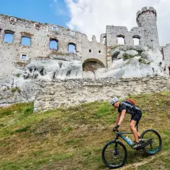 Rowerzysta pokonuje wzgórze na Szlaku Orlich Gniazd, w tle ruiny zamku.