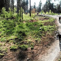 Rowerzyści pokonują kręte trasy rowerowe Bielsko w otoczeniu leśnej zieleni.