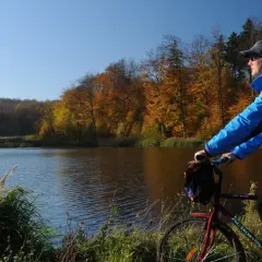 Jesień sprzyja jednodniowym wycieczkom rowerowym. Rowerzysta z plecakiem podziwia jesienne barwy lasu nad jeziorem.