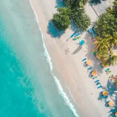 Rajska plaża z turkusową wodą, palmami i leżakami. Idealne miejsce, gdzie lecieć w czerwcu na wakacje.