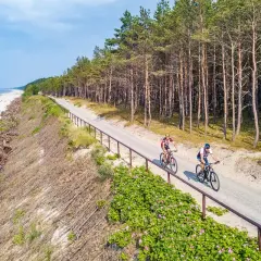 Dwóch rowerzystów przemierza malownicze trasy rowerowe Gdańsk wzdłuż sosnowego lasu i plaży.