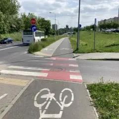 Pieszy na ścieżce rowerowej czeka na zielone światło, by przejść przez pasy. Obok droga z autobusem i samochodami.