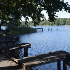 Drewniane pomosty nad spokojnym jeziorem chrzypskim, otoczonym lasem. W wodzie widoczne są pale po starym pomoście.