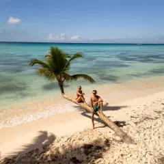 Para na palmowym drzewie na plaży, idealne miejsce na Mauritius na własną rękę.