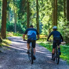 Dwóch rowerzystów przemierza leśną ścieżkę, ciesząc się aktywnym weekendem w Polsce.