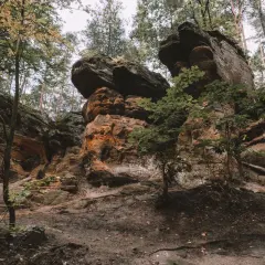 Skałki Piekło pod Nieklaniem to labirynt piaskowcowych form skalnych, gdzie drzewa oplatają pomarańczowe skały.