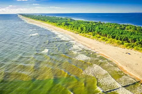 Plaża z sosnowym lasem w tle. Falochrony łagodzą fale, tworząc wrażenie najcieplejszej wody w Bałtyku.