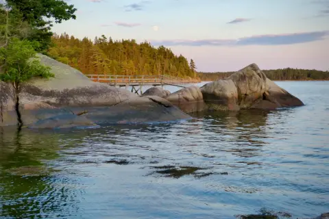 Kamieniste wybrzeże i drewniany pomost w jednym z parków narodowych w Stanach Zjednoczonych. Księżyc w pełni nad lasem.