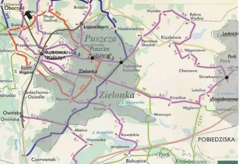 Puszcza Zielonka: malownicze trasy rowerowe wiodą przez lasy i wsie. Odkryj piękno przyrody na rowerze!