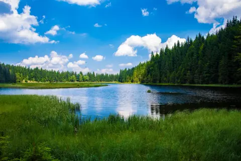 Spokojne jezioro otoczone lasem, z bujną zielenią na pierwszym planie. To jedno z magicznych miejsc Kujawsko-Pomorskiego.