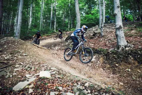 Zjazdowcy na rowerach pokonują leśny tor. To adrenalina i świetna zabawa na bike parkach w Polsce.