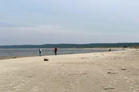 Plaża na Żuławach Wiślanych, gdzie można podziwiać piękno natury i poczuć spokój. Atrakcje przyrodnicze zachwycają.