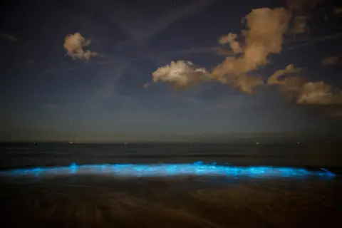 Nocna kosmiczna plaża Malediwy, gdzie fale rozświetlają się niebieskim blaskiem, jakby gwiazdy spadły do oceanu.
