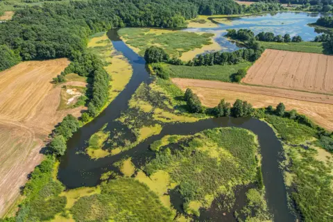 Malownicza wycieczka 50 km od Warszawy: meandrująca rzeka wśród zieleni, pól i jeziora. Idealne miejsce na odpoczynek.