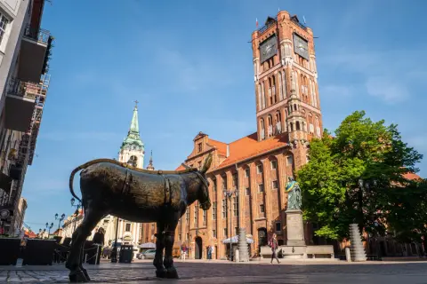 Pomnik osiołka na Rynku Staromiejskim w Toruniu, w tle Ratusz Staromiejski i kościół. Wspaniałe toruń atrakcje!