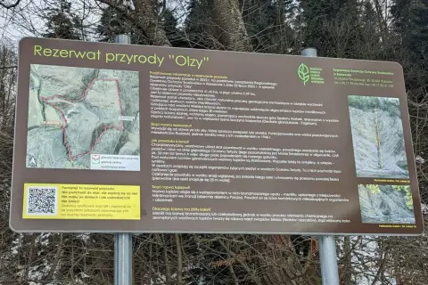 Wyjaśnienie genezy i nazwy rezerwatu przyrody "Olzy", z naciskiem na jego charakterystyczną, żółtą ścianę skalną.
