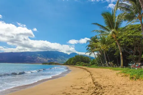 Plaża z palmami i górami w tle, idealne miejsce na relaks w najpiękniejszym stanie USA.
