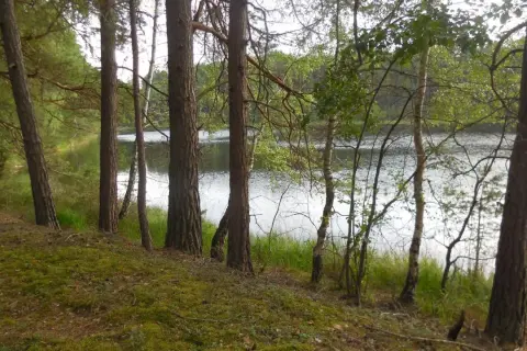Widok na jezioro z zalesionego brzegu. To idealne miejsce na odpoczynek przy punkcie widokowym Struga Siedmiu Jezior.