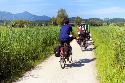 Grupa rowerzystów wyrusza na kilkudniowe wycieczki rowerowe, jadąc szutrową ścieżką wśród wysokich traw, z górami w tle.