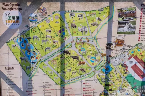Mapa zoo Borysew z trasą spaceru. Zobacz zwierzęta, figlarnię i edukację plenerową.