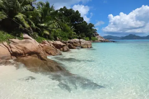 Rajska plaża na Seszelach, gdzie turkusowa woda skrywa niebezpieczne zwierzęta. Palmy i skały tworzą malowniczy krajobraz.