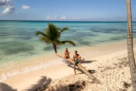 Para na palmowym drzewie na plaży, idealne miejsce na Mauritius na własną rękę.