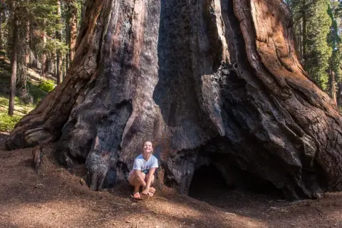 Kobieta kuca u podstawy gigantycznej sekwoi w USA. Monumentalne drzewo ma pofałdowaną, ciemną korę i ogromny otwór.