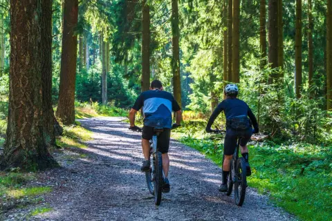 Dwóch rowerzystów przemierza leśną ścieżkę, ciesząc się aktywnym weekendem w Polsce.