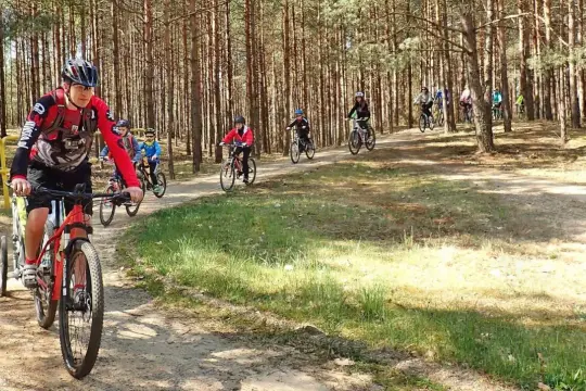Grupa rowerzystów przemierza malownicze **bory tucholskie trasy rowerowe**. Słońce przebija się przez sosnowy las, tworząc grę światła i cienia na piaszczystej ścieżce.