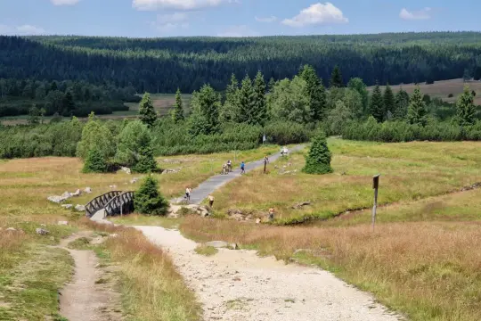 Malownicze trasy rowerowe Szklarska Poręba, ścieżka przez łąki i las, mostek, rowerzyści i spacerowicze.