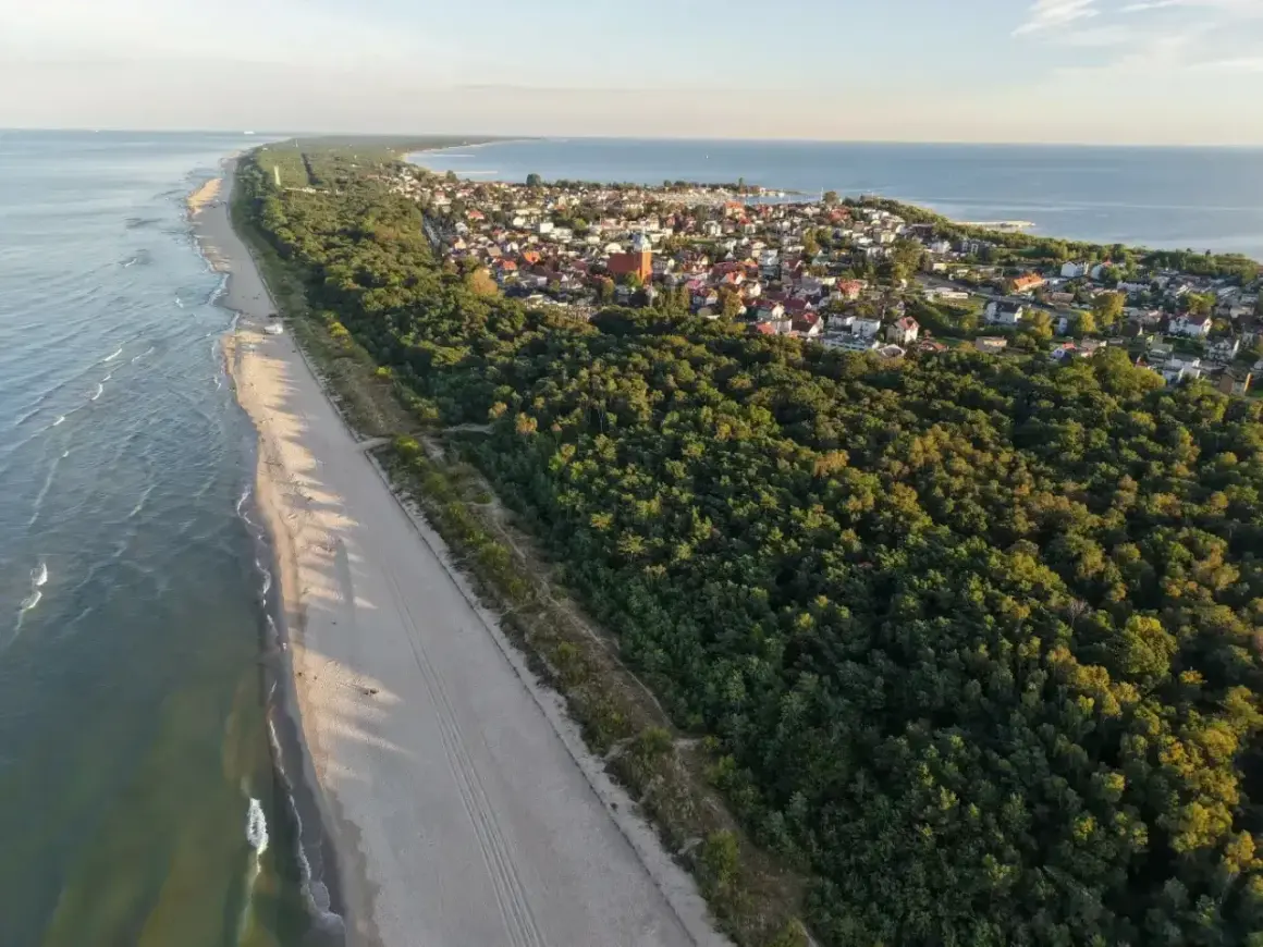 Piękna plaża i las nad morzem. Idealne miejsce, gdzie na majówkę.