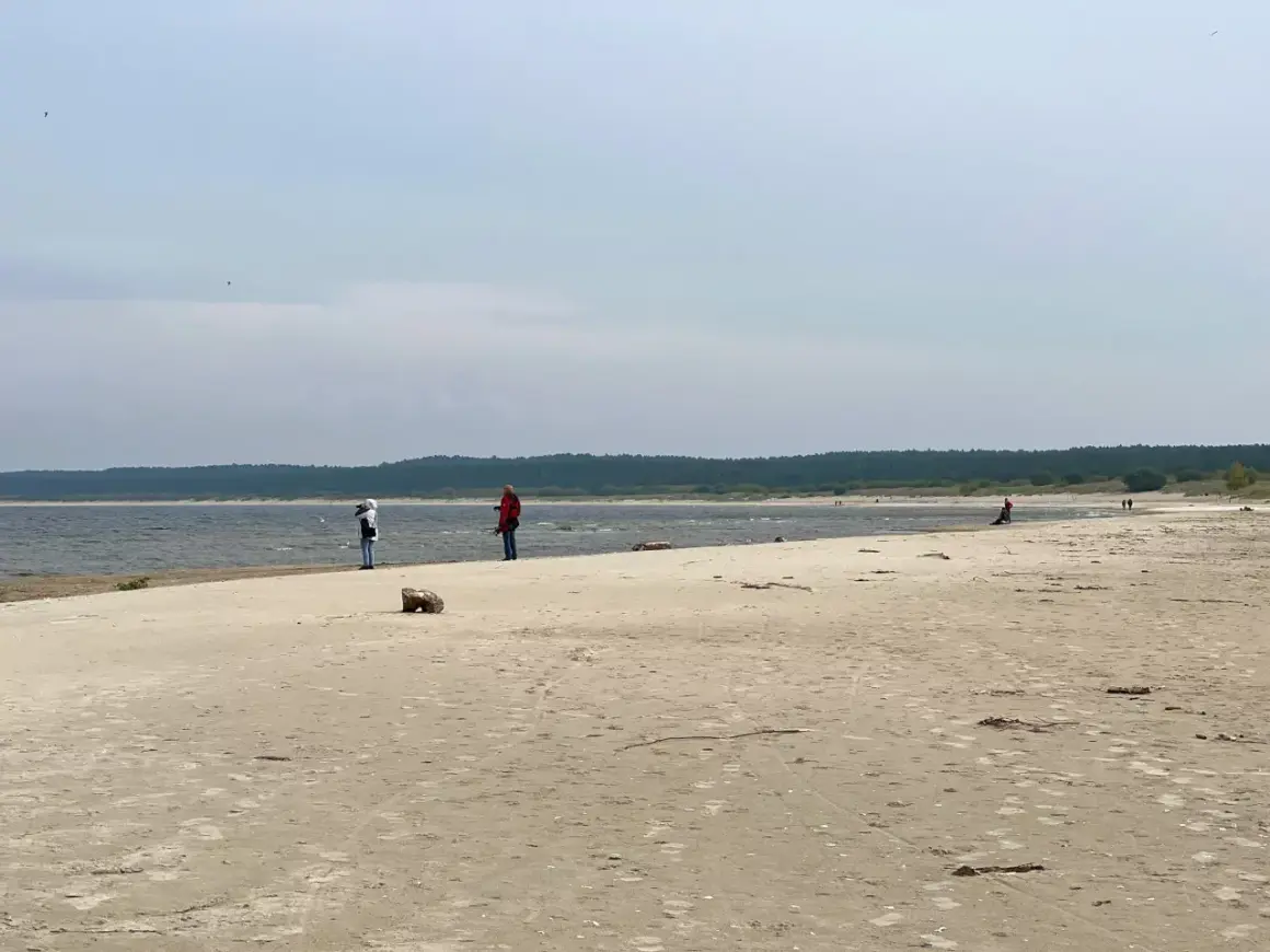 Plaża na Żuławach Wiślanych, gdzie można podziwiać piękno natury i poczuć spokój. Atrakcje przyrodnicze zachwycają.