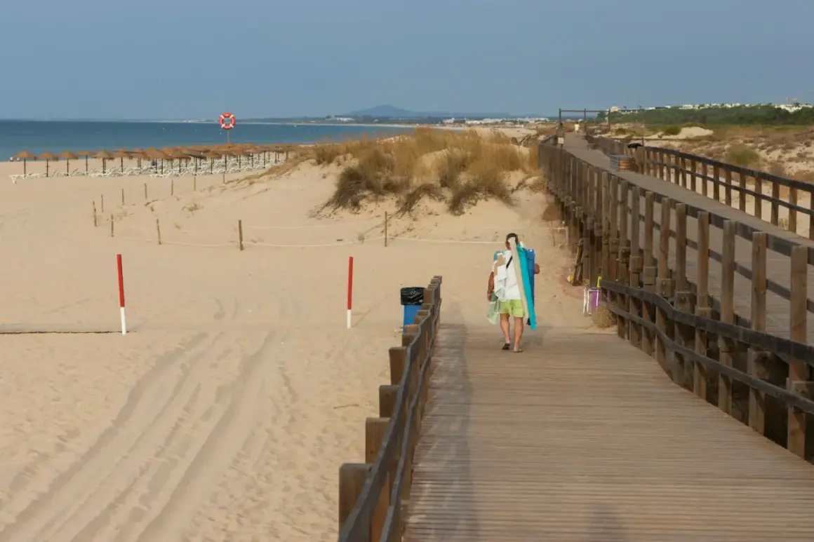 Drewniany deptak prowadzi na piaszczystą plażę. W oddali widać morze i rzędy parasoli. To idealne miejsce na spacer i odkrywanie atrakcji Grzybowa.