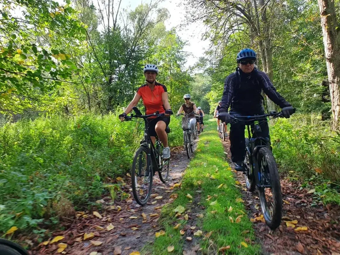 Grupa rowerzystów przemierza malownicze milickie trasy rowerowe wśród zieleni i jesiennych liści.
